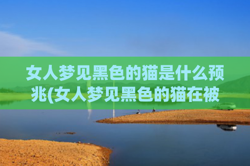 女人梦见黑色的猫是什么预兆(女人梦见黑色的猫在被窝里)