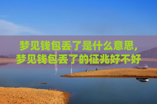 梦见钱包丢了是什么意思,梦见钱包丢了的征兆好不好(梦见钱包丢了是什么意思女人)