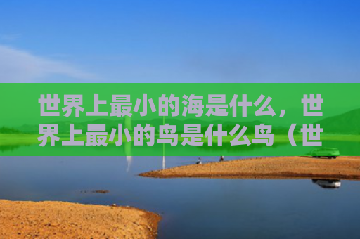 世界上最小的海是什么，世界上最小的鸟是什么鸟（世界上最小是什么什么鸟）