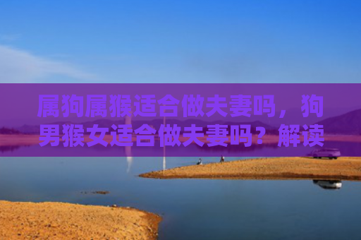 属狗属猴适合做夫妻吗，狗男猴女适合做夫妻吗？解读二者性格特点与婚配关系