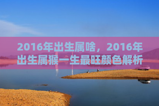 2016年出生属啥，2016年出生属猴一生最旺颜色解析，让你事业爱情双丰收