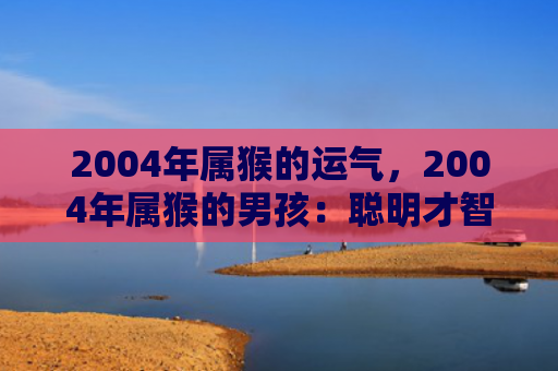 2004年属猴的运气，2004年属猴的男孩：聪明才智与命运挑战