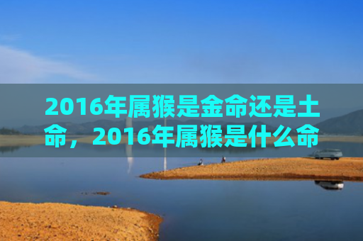 2016年属猴是金命还是土命，2016年属猴是什么命五行属什么，火猴的性格特点及运势分析