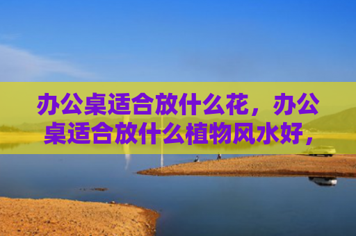 办公桌适合放什么花，办公桌适合放什么植物风水好，吊兰招财进宝