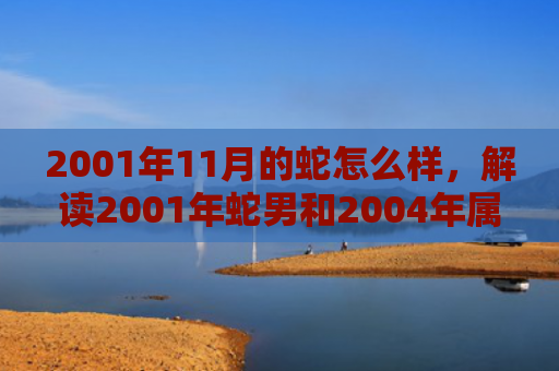 2001年11月的蛇怎么样，解读2001年蛇男和2004年属猴女婚配的性格差异与建议