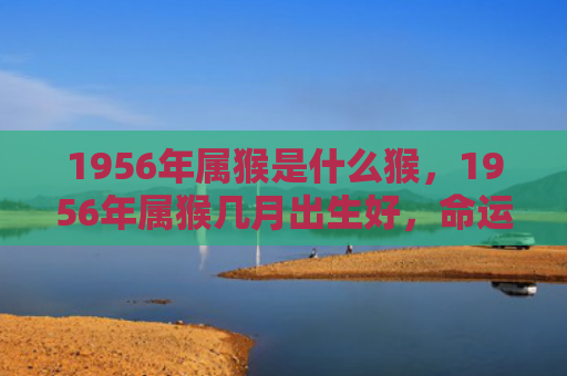 1956年属猴是什么猴，1956年属猴几月出生好，命运解析与风水提升财运