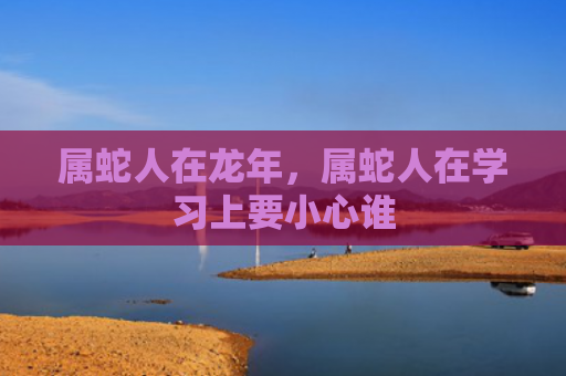 属蛇人在龙年，属蛇人在学习上要小心谁