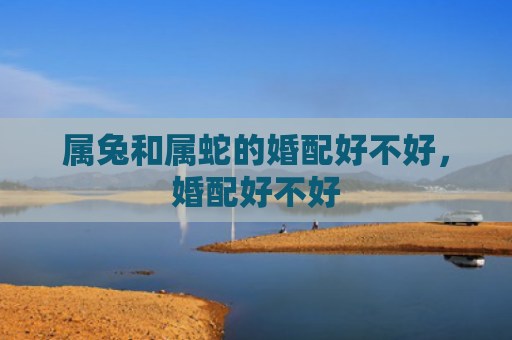 属兔和属蛇的婚配好不好，婚配好不好