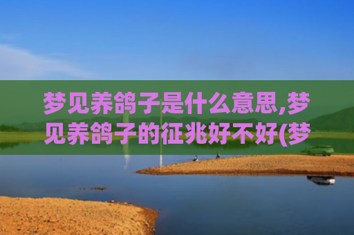 梦见养鸽子是什么意思,梦见养鸽子的征兆好不好(梦见家里养的鸽子是什么意思)