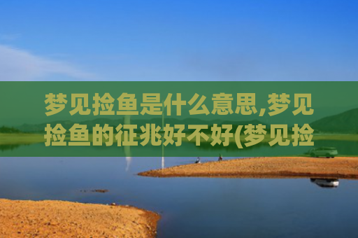 梦见捡鱼是什么意思,梦见捡鱼的征兆好不好(梦见捡鱼是什么意思有什么预兆)