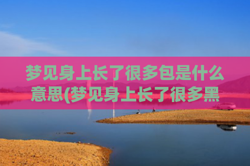 梦见身上长了很多包是什么意思(梦见身上长了很多黑色肉疙瘩)