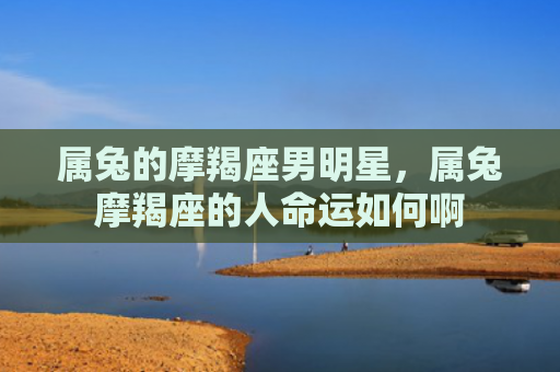 属兔的摩羯座男明星，属兔摩羯座的人命运如何啊