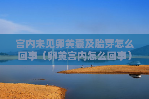 宫内未见卵黄囊及胎芽怎么回事（卵黄宫内怎么回事）