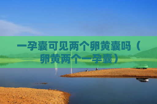 一孕囊可见两个卵黄囊吗（卵黄两个一孕囊）