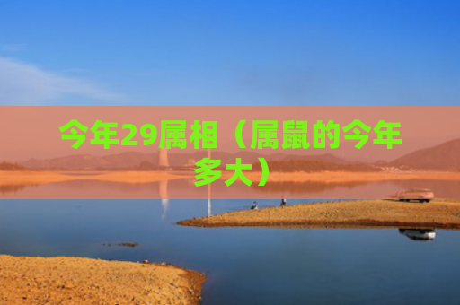 今年29属相（属鼠的今年多大）