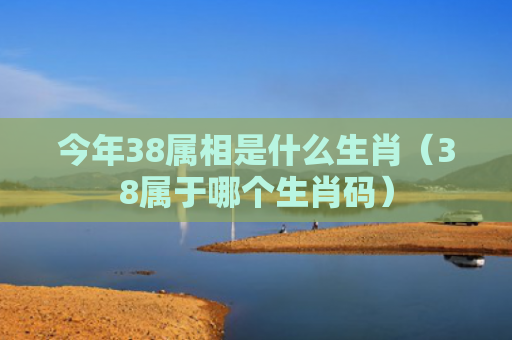 今年38属相是什么生肖（38属于哪个生肖码）