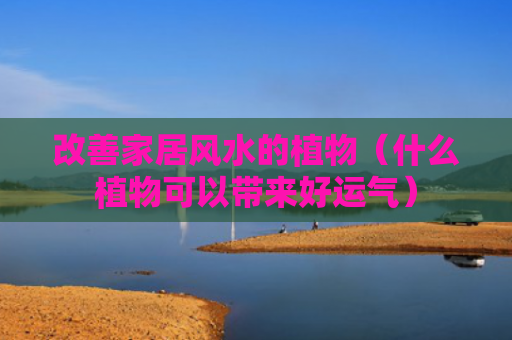 改善家居风水的植物（什么植物可以带来好运气）