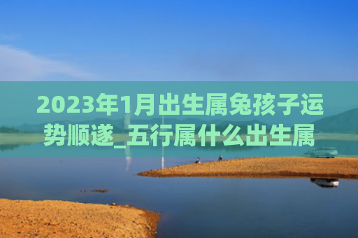 2023年1月出生属兔孩子运势顺遂_五行属什么出生属兔运势