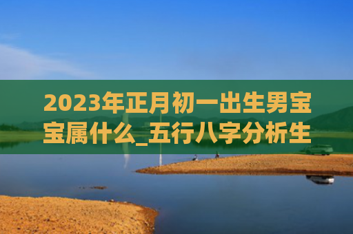 2023年正月初一出生男宝宝属什么_五行八字分析生男正月初属什么