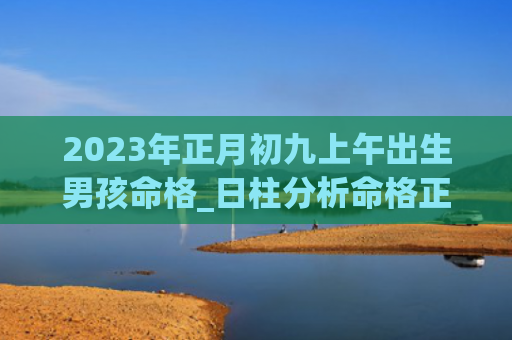 2023年正月初九上午出生男孩命格_日柱分析命格正月初九出生
