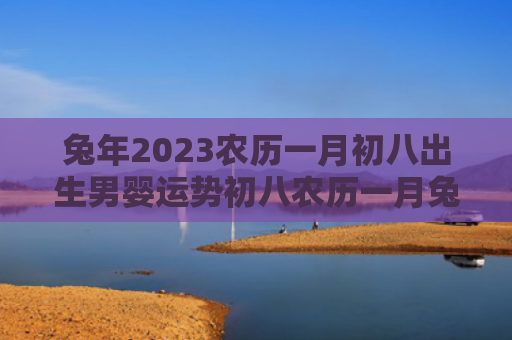 兔年2023农历一月初八出生男婴运势初八农历一月兔年