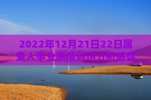 2022年12月21日22日属兔人事业感情财运分析感情财运属兔人