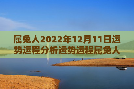 属兔人2022年12月11日运势运程分析运势运程属兔人