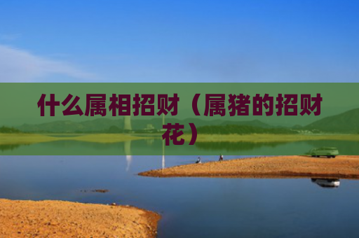 什么属相招财（属猪的招财花）