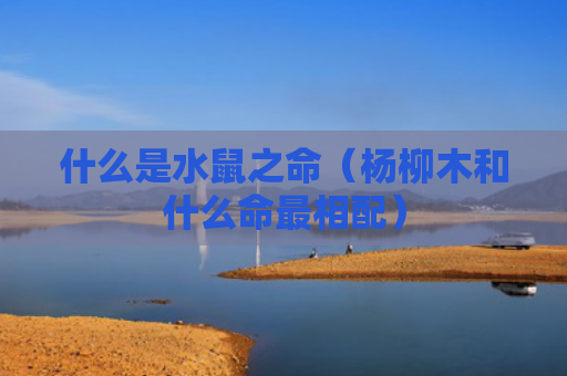 什么是水鼠之命（杨柳木和什么命最相配）