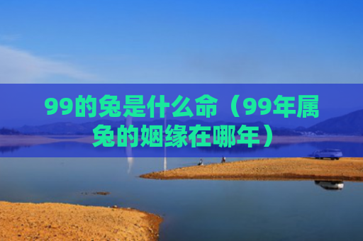 99的兔是什么命（99年属兔的姻缘在哪年）