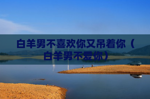 白羊男不喜欢你又吊着你（白羊男不爱你）