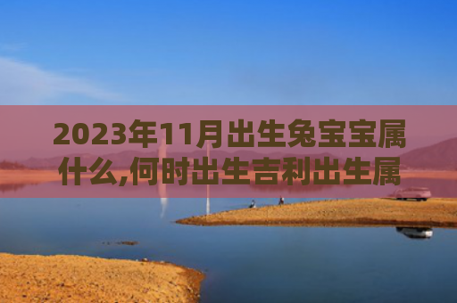 2023年11月出生兔宝宝属什么,何时出生吉利出生属什么吉利
