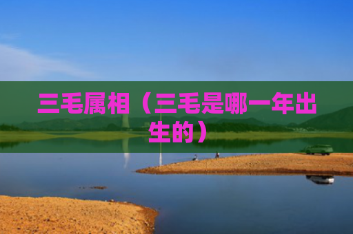 三毛属相（三毛是哪一年出生的）
