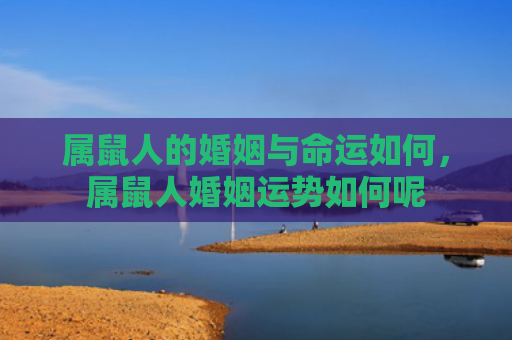 属鼠人的婚姻与命运如何，属鼠人婚姻运势如何呢