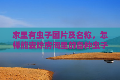 家里有虫子图片及名称，怎样能去除房间里的各种虫子（虫子房间里去除）