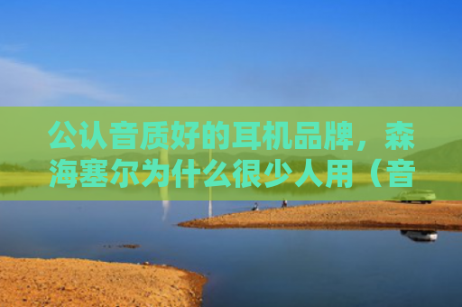 公认音质好的耳机品牌，森海塞尔为什么很少人用（音质公认耳机）