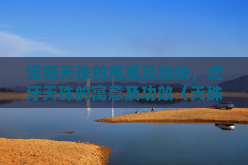 宝瓶天珠的寓意及功效，虎牙天珠的寓意及功效（天珠的寓意及功效虎牙）