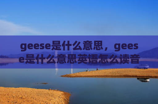 geese是什么意思，geese是什么意思英语怎么读音（是什么意思读音英语）
