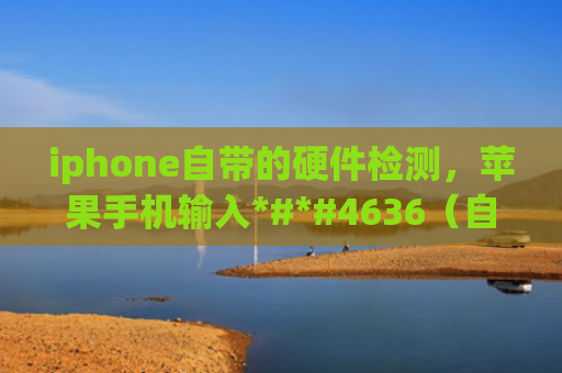 iphone自带的硬件检测，苹果手机输入*#*#4636（自带输入苹果）