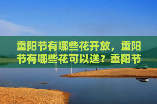 重阳节有哪些花开放，重阳节有哪些花可以送？重阳节送什么花给老人好？