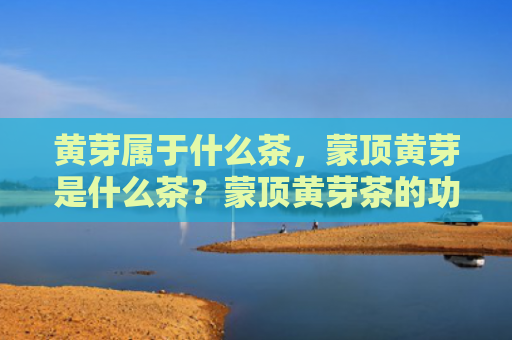 黄芽属于什么茶，蒙顶黄芽是什么茶？蒙顶黄芽茶的功效与作用有哪些？