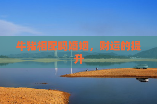 牛猪相配吗婚姻，财运的提升