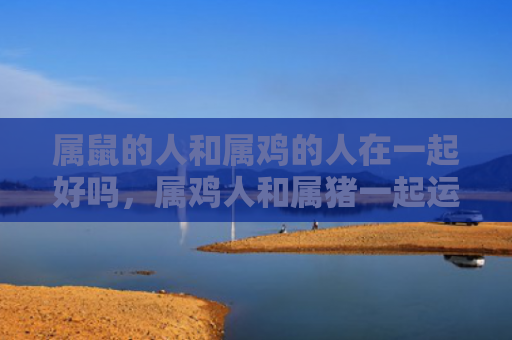 属鼠的人和属鸡的人在一起好吗，属鸡人和属猪一起运势如何