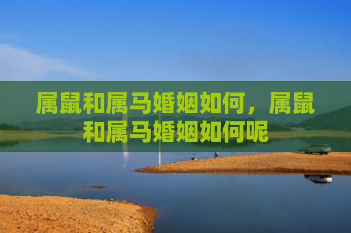 属鼠和属马婚姻如何，属鼠和属马婚姻如何呢
