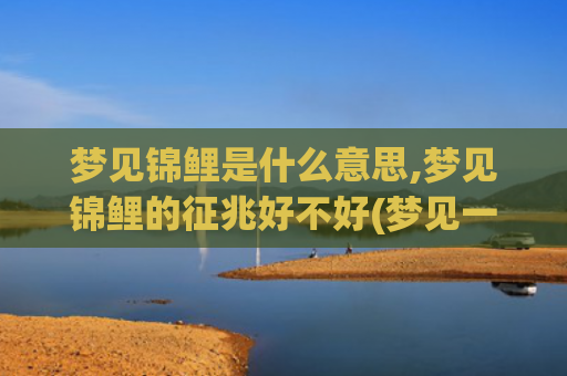 梦见锦鲤是什么意思,梦见锦鲤的征兆好不好(梦见一池锦鲤是什么意思)