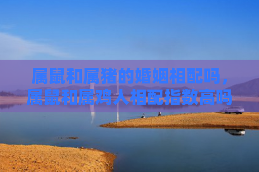 属鼠和属猪的婚姻相配吗，属鼠和属鸡人相配指数高吗