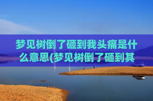 梦见树倒了砸到我头痛是什么意思(梦见树倒了砸到其他人头上)