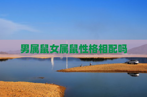 男属鼠女属鼠性格相配吗