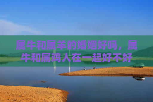 属牛和属羊的婚姻好吗，属牛和属鸡人在一起好不好