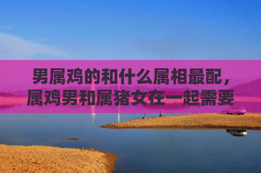 男属鸡的和什么属相最配，属鸡男和属猪女在一起需要注意什么